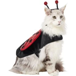Frisco Glittered Ladybug Dog & Cat Costume -Pet Dog Supplies Shop 708254 PT2. AC SS1800 V1689350599