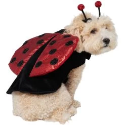 Frisco Glittered Ladybug Dog & Cat Costume -Pet Dog Supplies Shop 708254 PT3. AC SS1800 V1689350986