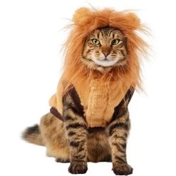 Frisco Lion Love Dog & Cat Costume -Pet Dog Supplies Shop 708318 PT2. AC SS1800 V1689341486