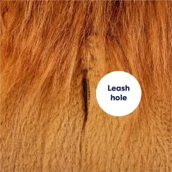 Frisco Lion Love Dog & Cat Costume -Pet Dog Supplies Shop 708318 PT6. AC SS1800 V1689351045