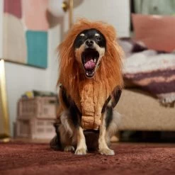 Frisco Lion Love Dog & Cat Costume -Pet Dog Supplies Shop 708318 PT7. AC SS1800 V1689350649