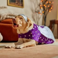 Frisco Shooting Stars Dog & Cat Costume -Pet Dog Supplies Shop 708614 PT7. AC SS1800 V1689278699