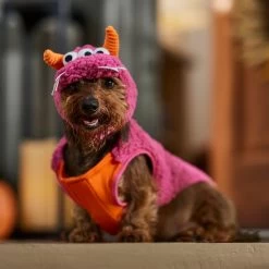 Frisco Zany Monster Dog & Cat Costume -Pet Dog Supplies Shop 708710 PT7. AC SS1800 V1689282434