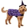 Frisco Cosmic Witch Dog & Cat Costume