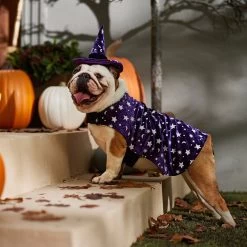 Frisco Cosmic Witch Dog & Cat Costume -Pet Dog Supplies Shop 708982 PT7. AC SS1800 V1689350987