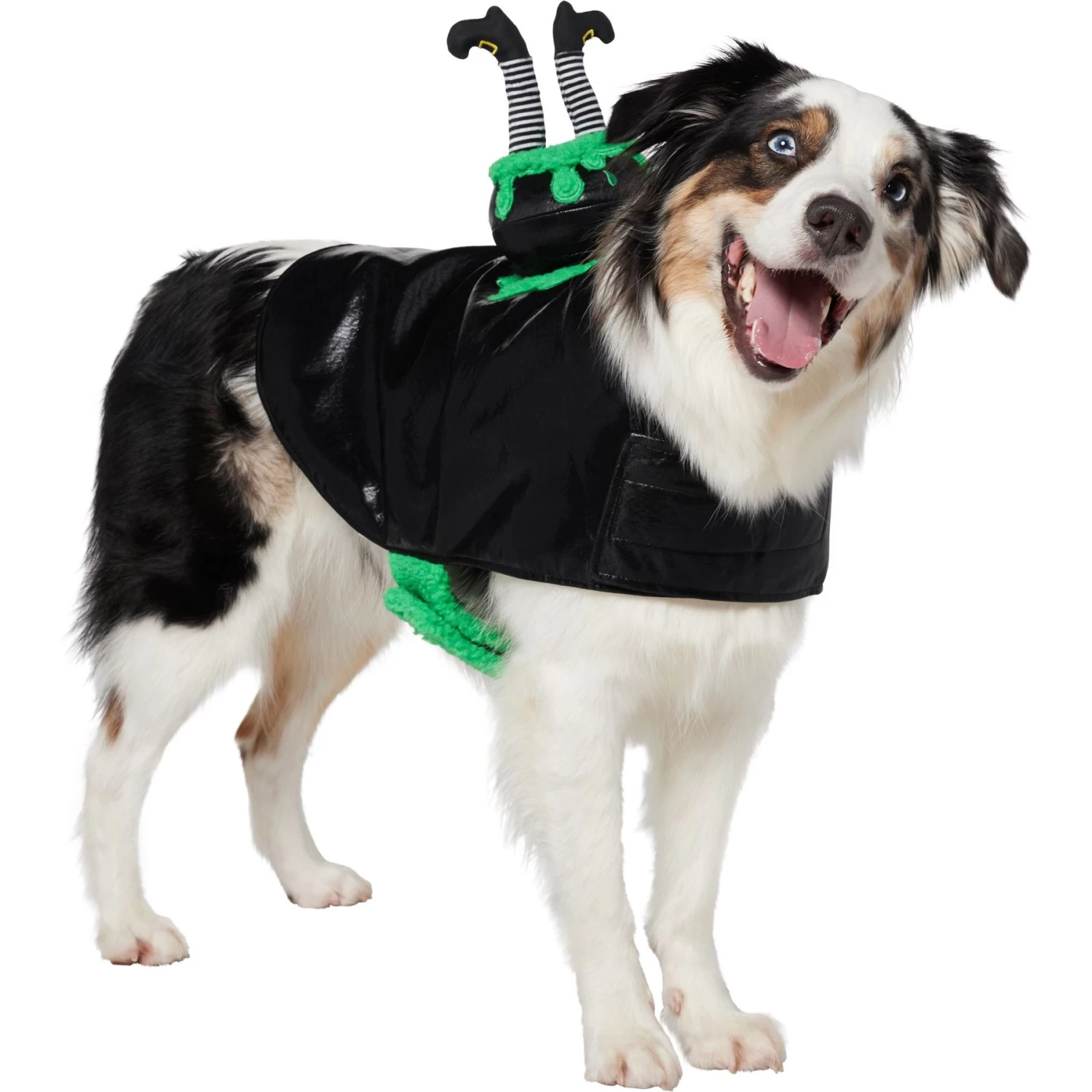 Frisco Witch Cauldron Ride-On Dog & Cat Costume 1 Frisco Witch Cauldron Ride-On Dog & Cat Costume