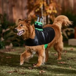 Frisco Witch Cauldron Ride-On Dog & Cat Costume 14 Frisco Witch Cauldron Ride-On Dog & Cat Costume -Pet Dog Supplies Shop 709494 PT7. AC SS1800 V1689278783