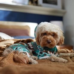 Frisco Fairisle Cozy Plush Fleece Dog & Cat PJs, Green 14 Frisco Fairisle Cozy Plush Fleece Dog & Cat PJs, Green -Pet Dog Supplies Shop 719054 PT7. AC SS1800 V1692375980