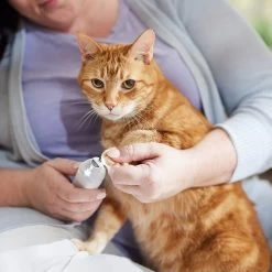 Rechargeable Cordless Cat & Dog 3-Speed Nail Grinder, White -Pet Dog Supplies Shop 729774 PT5. AC SS1800 V1683147135