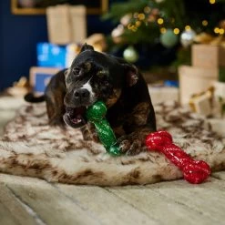 Frisco Holiday Naughty & Nice TPR Bone Squeaky Dog Toy -Pet Dog Supplies Shop 739702 PT3. AC SS1800 V1694812786