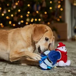 Frisco Holiday Arctic Buddies 2-in-1 Rip For Surprise Plush & Rubber Dog Toy -Pet Dog Supplies Shop 739718 PT3. AC SS1800 V1694812848