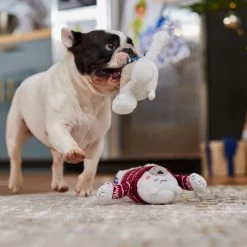 Frisco Holiday Polar Bear Friends Plush Squeaky Dog Toy 7 Frisco Holiday Polar Bear Friends Plush Squeaky Dog Toy -Pet Dog Supplies Shop 739822 PT3. AC SS1800 V1695043811