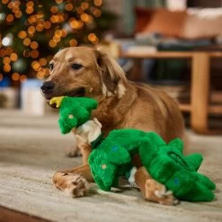 Frisco Holiday Elf In A Tree Bungee Plush Squeaky Dog Toy -Pet Dog Supplies Shop 739846 PT3. AC SS1800 V1695047600