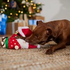 Frisco Holiday Santa On Vacation 2-in-1 Plush Squeaky Dog Toy 9 Frisco Holiday Santa On Vacation 2-in-1 Plush Squeaky Dog Toy -Pet Dog Supplies Shop 739894 PT3. AC SS1800 V1695045718