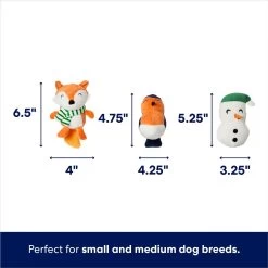 Frisco Holiday Melting Snow Globe Hide & Seek Puzzle Plush Squeaky Dog Toy -Pet Dog Supplies Shop 739910 PT2. AC SS1800 V1694814063