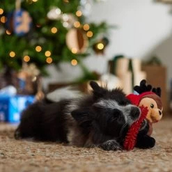 Frisco Holiday Reindeer Plush With TPR Ring Squeaky Puppy Toy -Pet Dog Supplies Shop 739958 PT3. AC SS1800 V1695046549