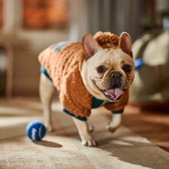 Frisco Wubby Textured Fleece Dog & Cat Hoodie W/ Pocket -Pet Dog Supplies Shop 742510 PT7. AC SS1800 V1692377765