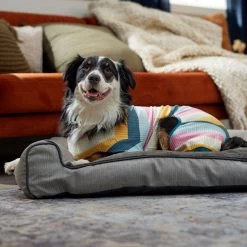 Frisco Cozy Waffle Knit Dog & Cat PJs, Stripe -Pet Dog Supplies Shop 744246 PT7. AC SS1800 V1692377766