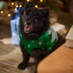 Frisco Ornament Dog & Cat Costume -Pet Dog Supplies Shop 745510 PT7. AC SS1800 V1694795535