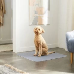 Skout's Honor Dog Pee Pad Refresher Spray, 28-oz Bottle & Frisco Washable Dog Potty Pads 17 Skout's Honor Dog Pee Pad Refresher Spray, 28-oz Bottle & Frisco Washable Dog Potty Pads -Pet Dog Supplies Shop 772958 PT8. AC SS1800 V1676752183