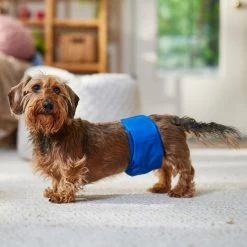 Frisco Washable Dog Diaper Male Wraps 9 Frisco Washable Dog Diaper Male Wraps -Pet Dog Supplies Shop 862854 PT3. AC SS1800 V1698950172