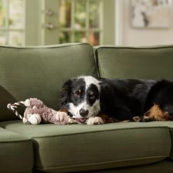 Frisco Monkey Plush With Rope Squeaky Dog Toy & Frisco Cow Plush With Inside Rope Squeaky Dog Toy -Pet Dog Supplies Shop 961998 PT4. AC SS1800 V1694784009