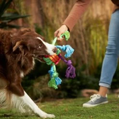 Frisco Fetch Colorful Ball Knot Rope Dog Toy & Frisco Monkey Plush With Rope Squeaky Dog Toy -Pet Dog Supplies Shop 962014 PT2. AC SS1800 V1694784008