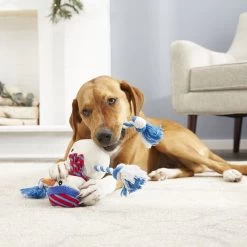 Frisco Holiday Snowman Plush With Rope Squeaky Dog Toy & Frisco Holiday Reindeer Plush With Rope Squeaky Dog Toy 13 Frisco Holiday Snowman Plush With Rope Squeaky Dog Toy & Frisco Holiday Reindeer Plush With Rope Squeaky Dog Toy -Pet Dog Supplies Shop 986174 PT4. AC SS1800 V1698258345