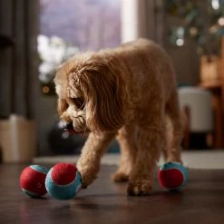 Frisco Holiday Santa's Helpers Plush Squeaky Dog Toy, 3 Count & Frisco Holiday Ho Ho Ho Fetch Squeaky Tennis Ball Dog Toy -Pet Dog Supplies Shop 986214 PT8. AC SS1800 V1698258345