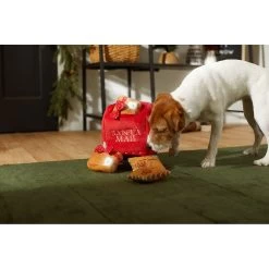 Frisco Holiday House Hide & Seek Puzzle Plush Squeaky Dog Toy & Frisco Holiday North Pole Mailbox Hide & Seek Puzzle Plush Squeaky Dog Toy -Pet Dog Supplies Shop 986286 PT8. AC SS1800 V1698258055