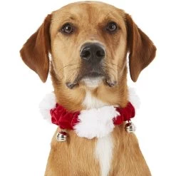 Frisco Jingle Bells Dog & Cat Holiday Collar With Bells, 1 Count & Frisco Holiday Antler Headband & Bell Collar Dog & Cat Costume -Pet Dog Supplies Shop 986294 PT3. AC SS1800 V1698257734