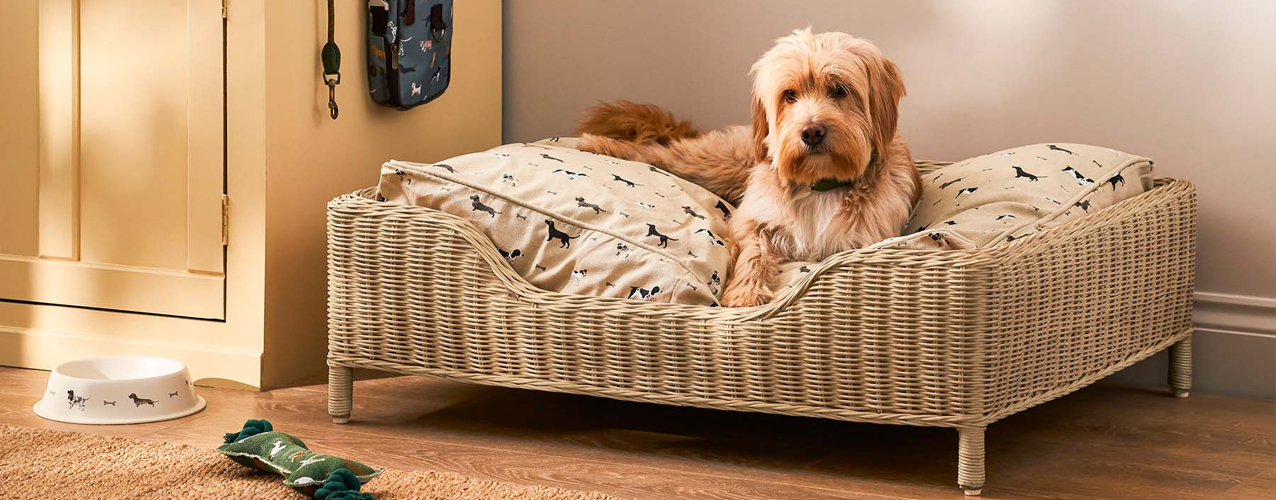 Pet Dog Supplies Shop -Pet Dog Supplies Shop 2